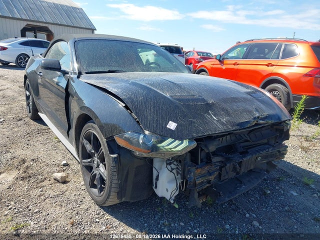 2019 1FATP8UH3K5177029 main image