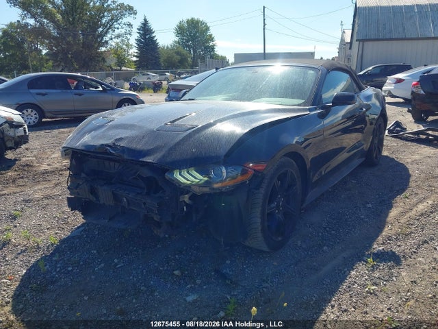 Ford Mustang Convertible 2019 1FATP8UH3K5177029 Image 2