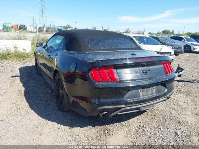 Ford Mustang Convertible 2019 1FATP8UH3K5177029 Image 3