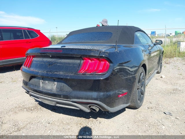 Ford Mustang Convertible 2019 1FATP8UH3K5177029 Image 4
