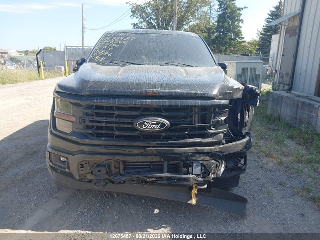 Ford F-150 Xlt 2024 1FTEW3LP6RKD08242 Image 12