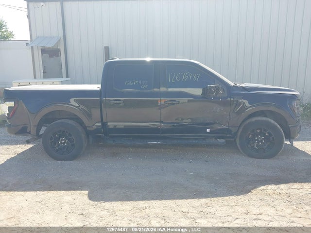 Ford F-150 Xlt 2024 1FTEW3LP6RKD08242 Image 13