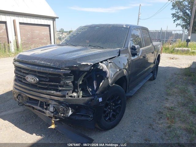 Ford F-150 Xlt 2024 1FTEW3LP6RKD08242 Image 2