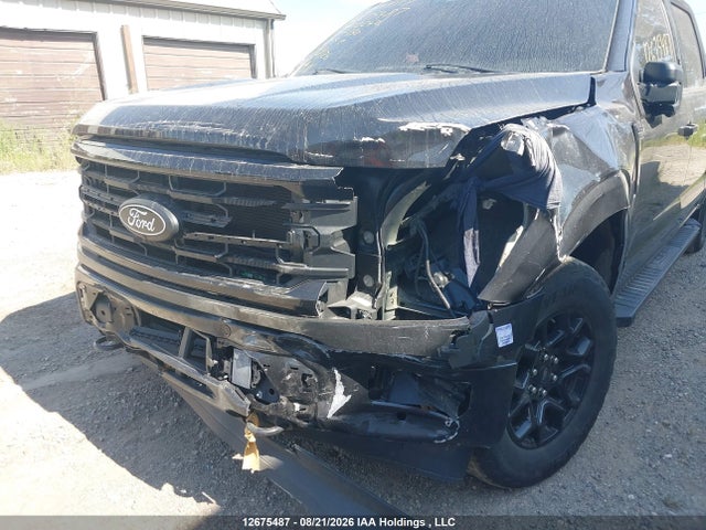 Ford F-150 Xlt 2024 1FTEW3LP6RKD08242 Image 6