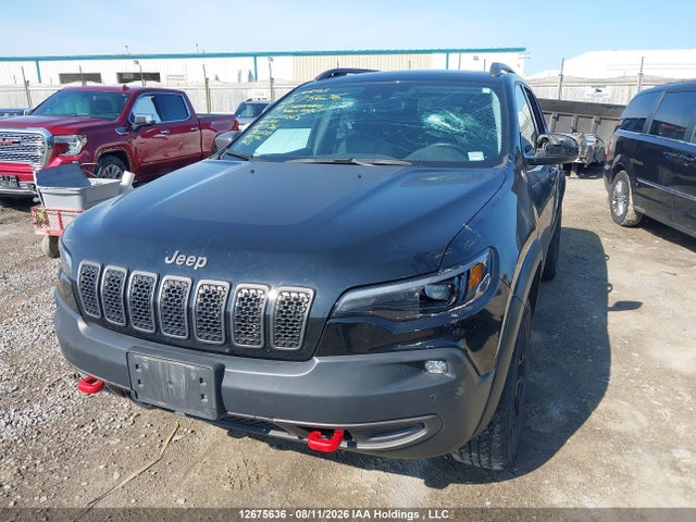 Jeep Cherokee Trailhawk 2019 1C4PJMBX5KD224003 Image 2