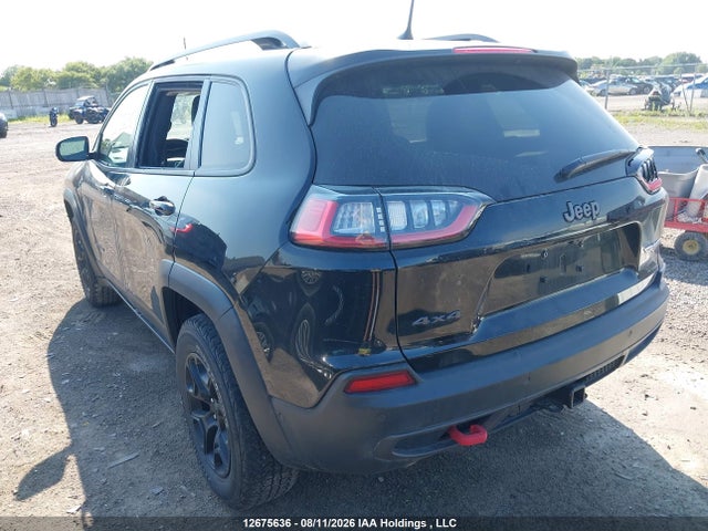 Jeep Cherokee Trailhawk 2019 1C4PJMBX5KD224003 Image 3