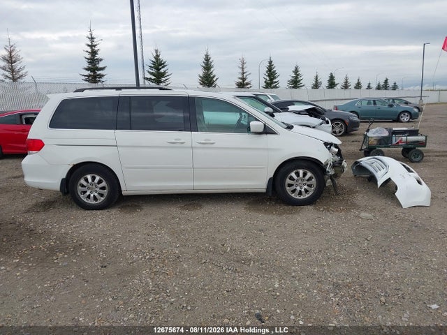 2009 Honda Odyssey Ex-l მანქანა იყიდება აუქციონზე, vin: 5FNRL38739B009341, აუქციონის ნომერი: 12675674