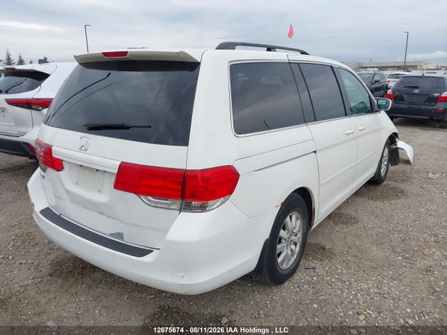 2009 Honda Odyssey Ex-l მანქანა იყიდება აუქციონზე, vin: 5FNRL38739B009341, აუქციონის ნომერი: 12675674