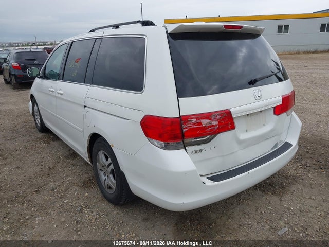 2009 Honda Odyssey Ex-l მანქანა იყიდება აუქციონზე, vin: 5FNRL38739B009341, აუქციონის ნომერი: 12675674