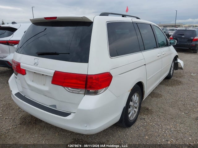 2009 Honda Odyssey Ex-l მანქანა იყიდება აუქციონზე, vin: 5FNRL38739B009341, აუქციონის ნომერი: 12675674
