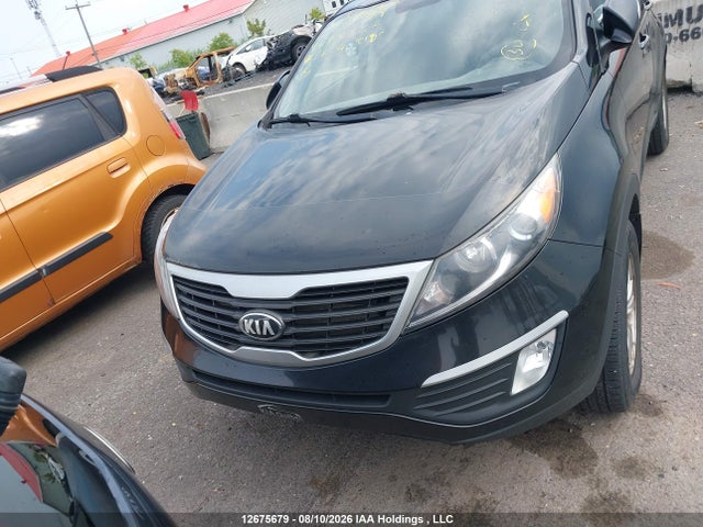 Продаж на аукціоні авто 2013 Kia Sportage Lx, vin: KNDPB3A21D7498362, номер лоту: 12675679