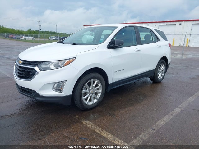 Chevrolet EQUINOX LS 2020 2GNAXHEV9L6213650 Image 2