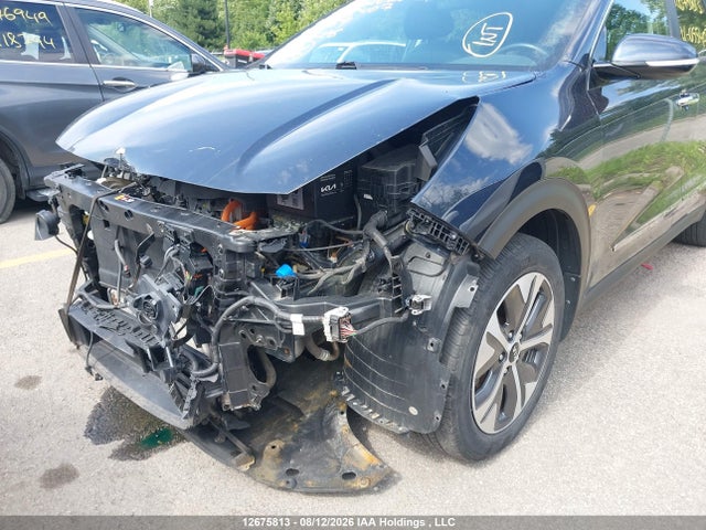KIA Niro Ev Sx Touring 2020 KNDCE3LG6L5055407 Image 6