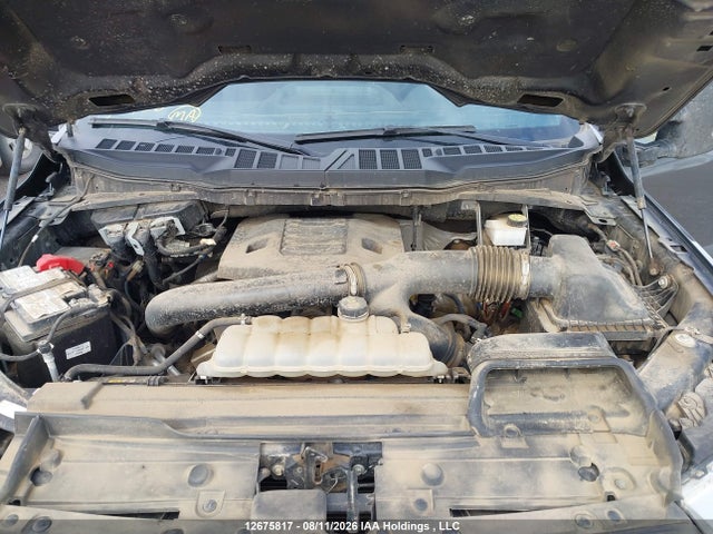 2023 Ford F-150 Xlt მანქანა იყიდება აუქციონზე, vin: 1FTFW1E83PKE77758, აუქციონის ნომერი: 12675817