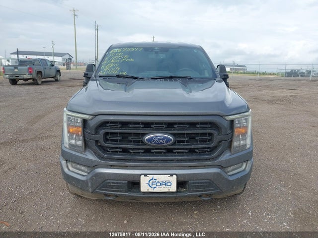 2023 Ford F-150 Xlt მანქანა იყიდება აუქციონზე, vin: 1FTFW1E83PKE77758, აუქციონის ნომერი: 12675817