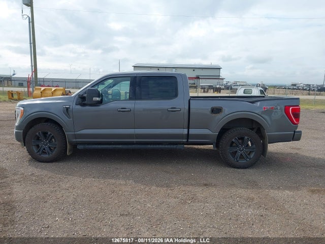 2023 Ford F-150 Xlt მანქანა იყიდება აუქციონზე, vin: 1FTFW1E83PKE77758, აუქციონის ნომერი: 12675817