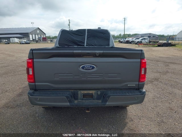 2023 Ford F-150 Xlt მანქანა იყიდება აუქციონზე, vin: 1FTFW1E83PKE77758, აუქციონის ნომერი: 12675817