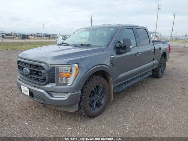 2023 Ford F-150 Xlt მანქანა იყიდება აუქციონზე, vin: 1FTFW1E83PKE77758, აუქციონის ნომერი: 12675817
