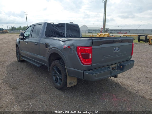 2023 Ford F-150 Xlt მანქანა იყიდება აუქციონზე, vin: 1FTFW1E83PKE77758, აუქციონის ნომერი: 12675817