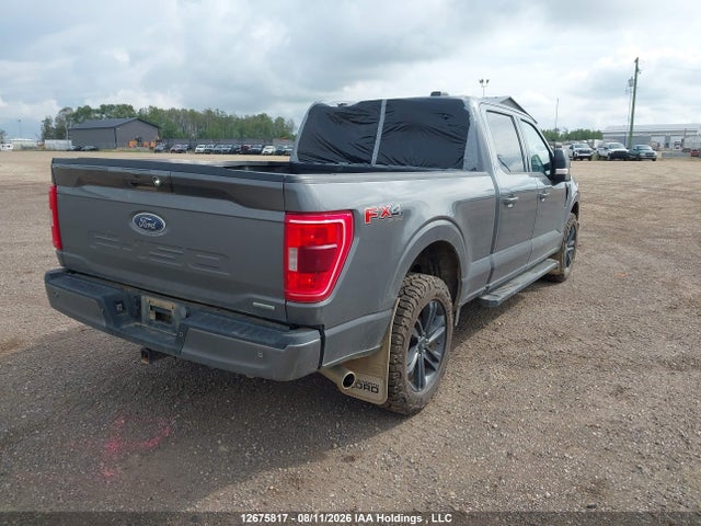 2023 Ford F-150 Xlt მანქანა იყიდება აუქციონზე, vin: 1FTFW1E83PKE77758, აუქციონის ნომერი: 12675817