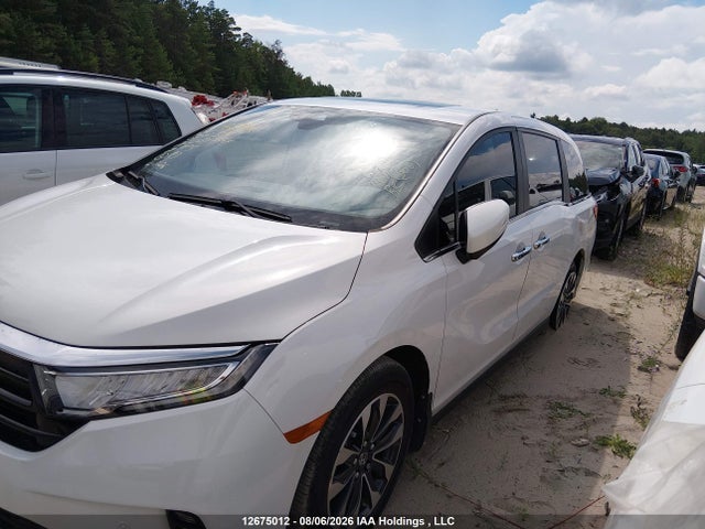 2024 Honda Odyssey Ex-l მანქანა იყიდება აუქციონზე, vin: 5FNRL6H6XRB504399, აუქციონის ნომერი: 12675012