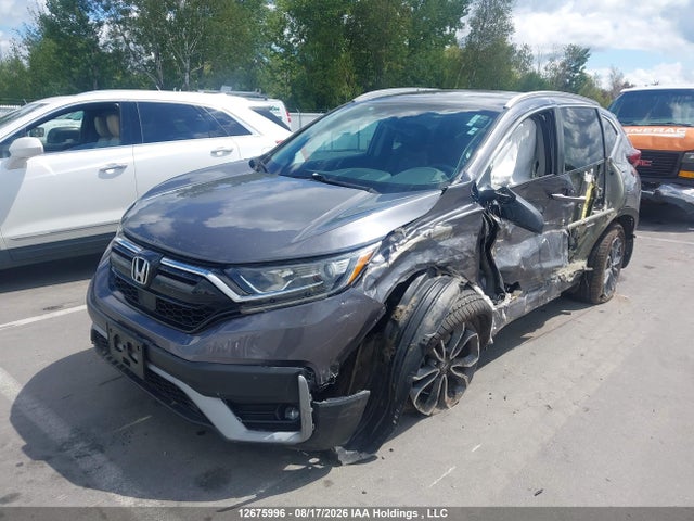 2HKRW2H88NH226020 Honda Cr-v Ex-l