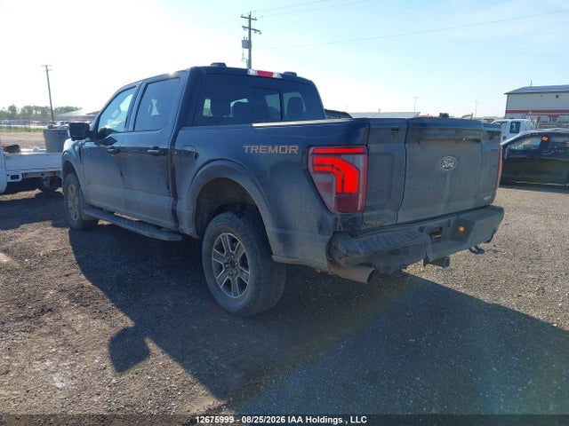 Ford F-150 Tremor 2024 1FTFW4L81RFB90905 Image 3