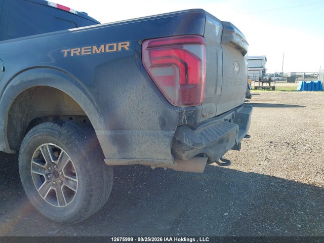 Ford F-150 Tremor 2024 1FTFW4L81RFB90905 Image 6
