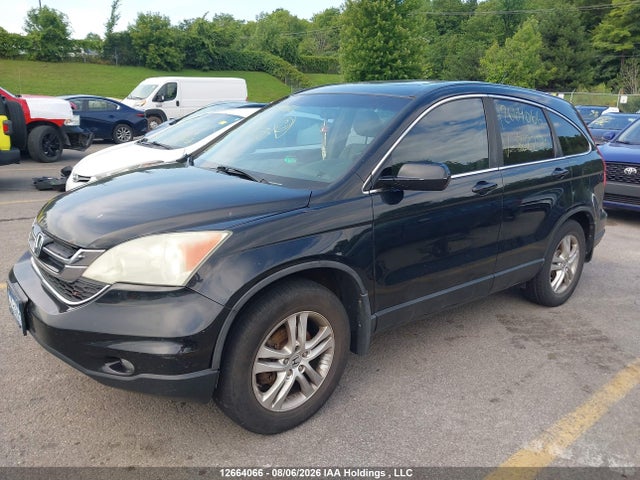 12664066 :رقم المزاد ، 5J6RE4H71BL802280 vin ، 2011 Honda Cr-v Ex-l مزاد بيع