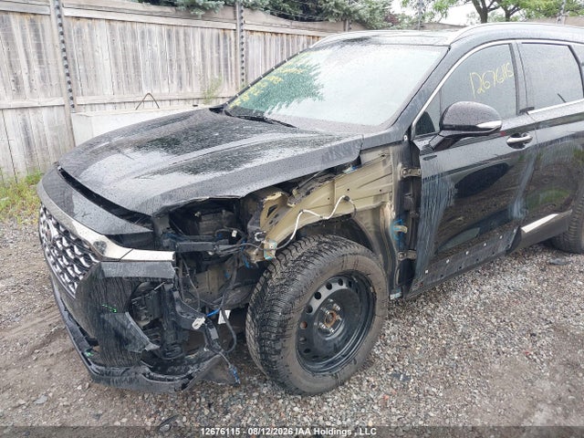 Hyundai Santa Fe Luxury 2019 5NMS3CAA0KH076975 Image 6