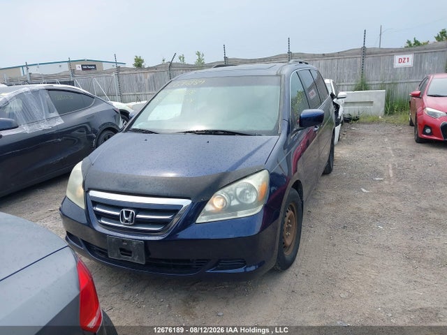 12676189 :رقم المزاد ، 5FNRL38635B509968 vin ، 2005 Honda Odyssey Ex-l مزاد بيع