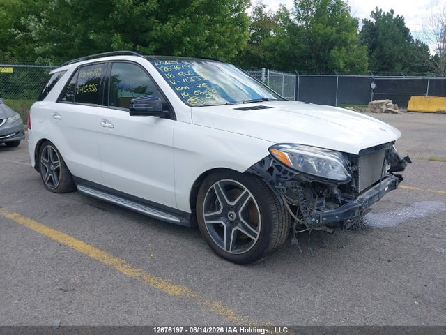 Mercedes-Benz GLE-Class 2018 4JGDA5GB2JB113338 главное изображение