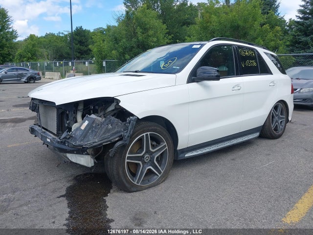 Mercedes-Benz GLE-Class 2018 4JGDA5GB2JB113338 Image 2
