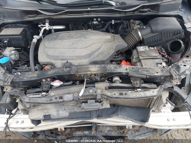 Продаж на аукціоні авто 2019 Honda Odyssey Ex-l, vin: 5FNRL6H67KB502230, номер лоту: 12648067
