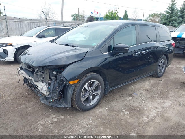 Продаж на аукціоні авто 2019 Honda Odyssey Ex-l, vin: 5FNRL6H67KB502230, номер лоту: 12648067