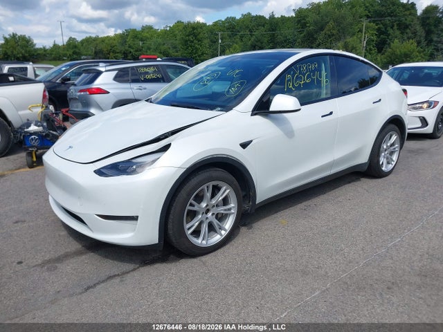 Продажа на аукционе авто 2023 Tesla Model Y Long Range, vin: 7SAYGDEE0PF781787, номер лота: 12676446