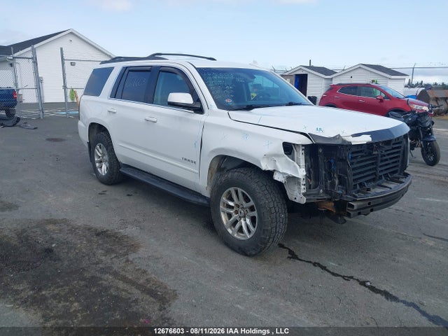 Chevrolet Tahoe K1500 Ls 2019 1GNSKAKC4KR304423 главное изображение
