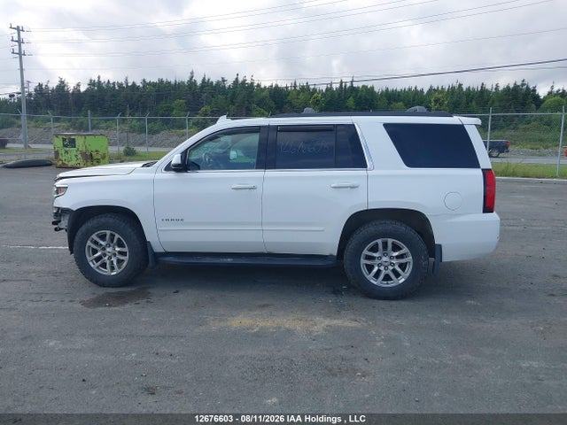 2019 Chevrolet Tahoe K1500 Ls მანქანა იყიდება აუქციონზე, vin: 1GNSKAKC4KR304423, აუქციონის ნომერი: 12676603