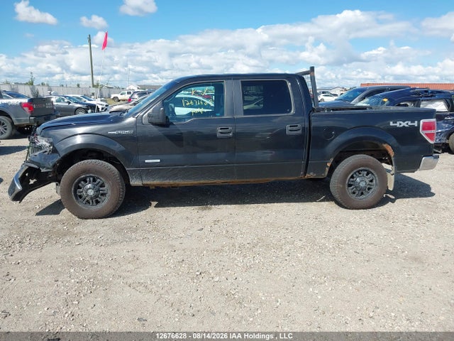 Продажа на аукционе авто 2013 Ford F150 Supercrew, vin: 1FTFW1ET1DFC96991, номер лота: 12676628