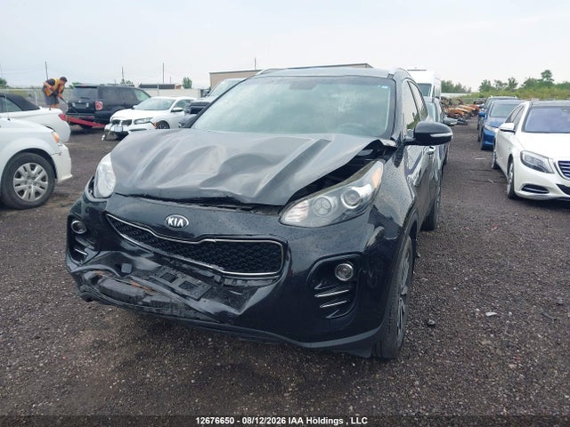 Продажа на аукционе авто 2017 Kia Sportage Ex/ex Premium/ex Tech, vin: KNDPNCAC2H7141956, номер лота: 12676650