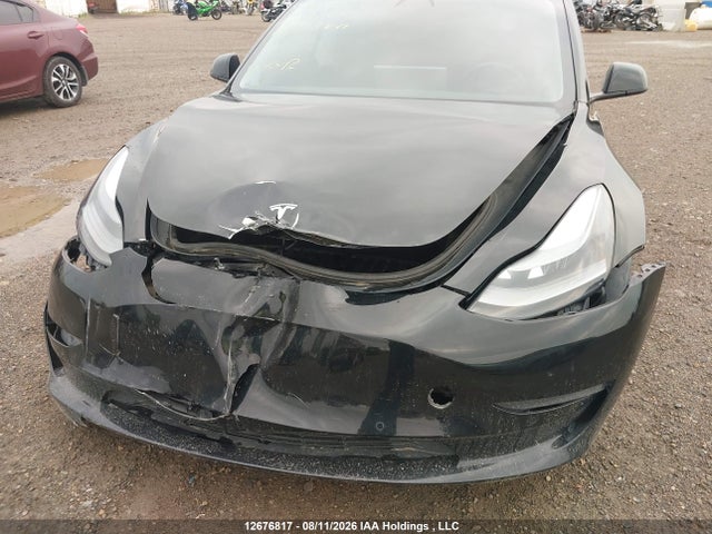 Tesla Model 3 Long Range 2021 5YJ3E1EB7MF916616 Image 6