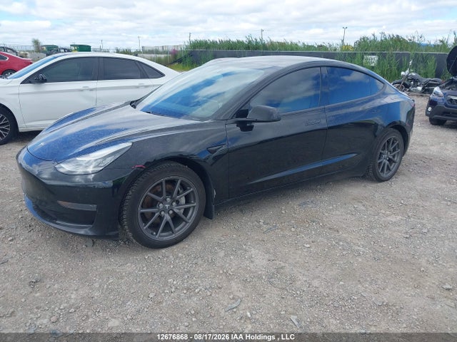 Tesla Model 3 Standard Range Plus 2020 5YJ3E1EA9LF786652 Image 2
