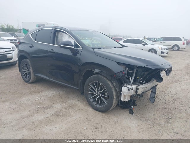 2023 Lexus Nx 250 მანქანა იყიდება აუქციონზე, vin: 2T2ADCEZ5PC003568, აუქციონის ნომერი: 12676921