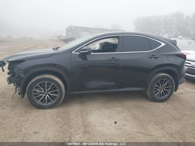 12676921 :رقم المزاد ، 2T2ADCEZ5PC003568 vin ، 2023 Lexus Nx 250 مزاد بيع