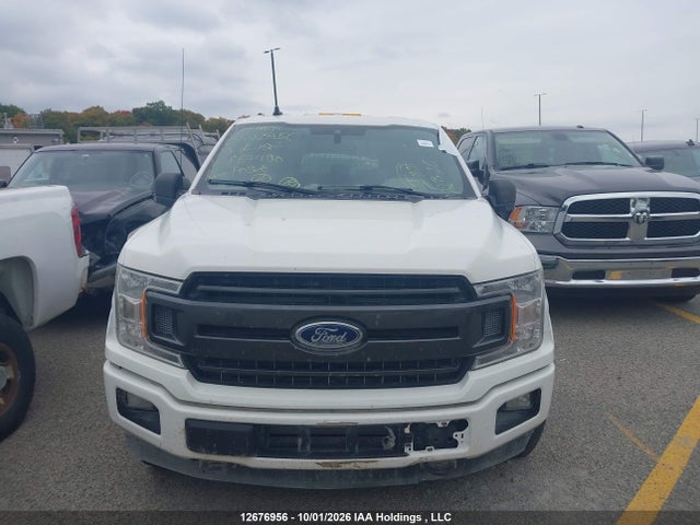 Ford F-150 Xlt 2019 1FTEX1EP2KKE67490 Image 12