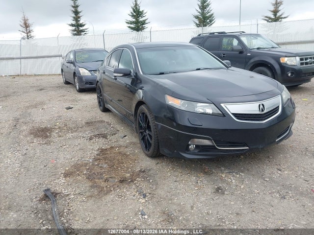 12677004 :رقم المزاد ، 19UUA9F74CA803465 vin ، 2012 Acura Tl مزاد بيع