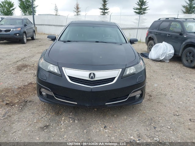 Продажа на аукционе авто 2012 Acura Tl, vin: 19UUA9F74CA803465, номер лота: 12677004