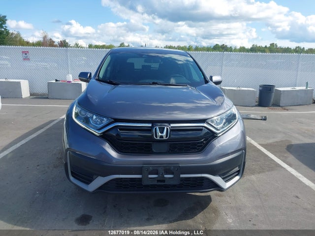 Honda CR-V LX 2020 2HKRW2H22LH239242 Image 13