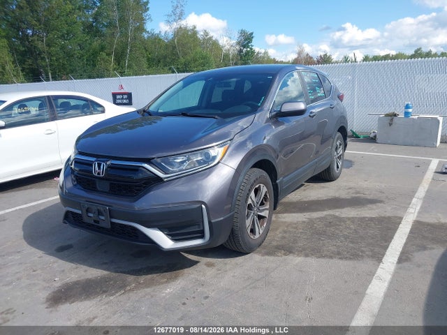 Honda CR-V LX 2020 2HKRW2H22LH239242 Image 2