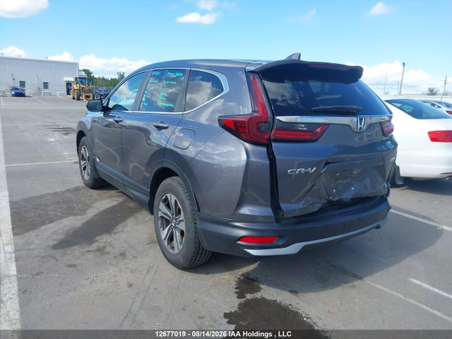 Honda CR-V LX 2020 2HKRW2H22LH239242 Image 3